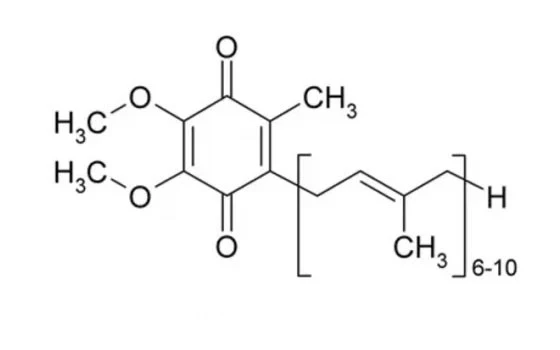 COQ 10 powder